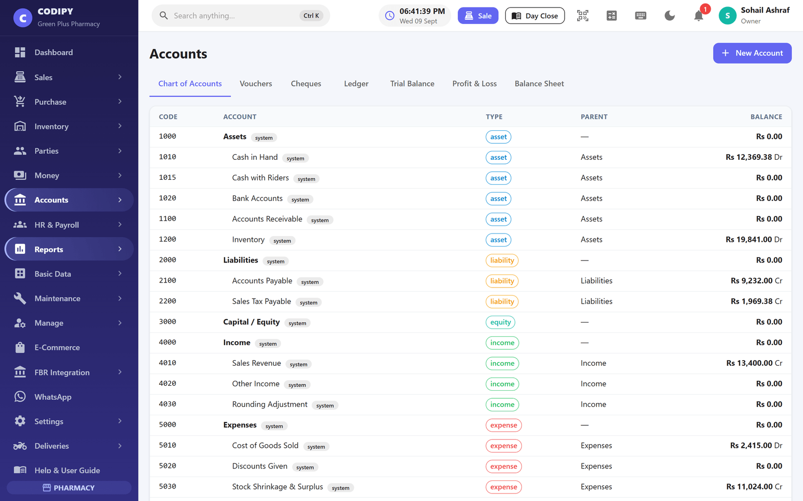 The accounting screen showing double-entry ledgers